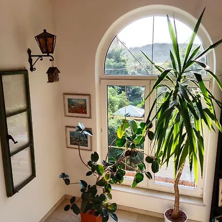 Appartement Felsenkeller