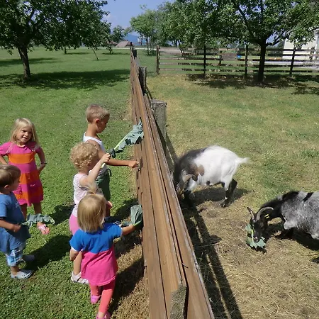 Appartement Felsenkeller *